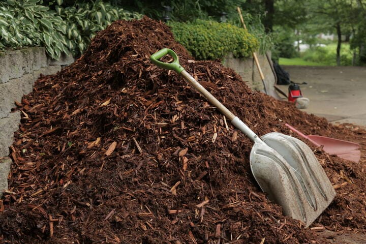 use mulch to help retain soil moisture