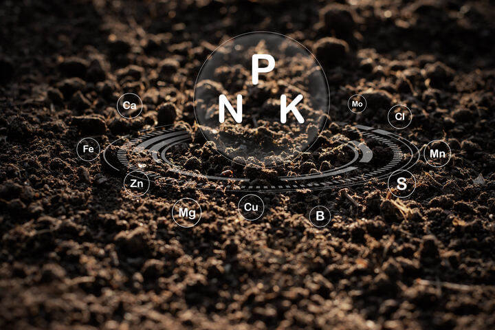 why phosphorus is important for cannabis