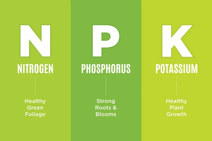 cannabis nutrient needs