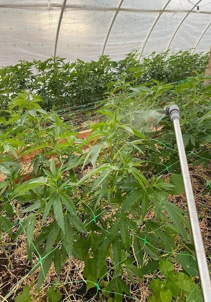 an ipm strategy is crucial to success