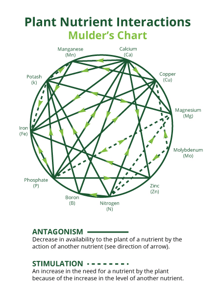 plant nutrient imteractions graph