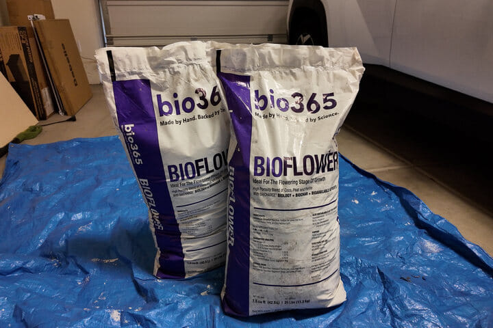 don't overfeed autoflowers