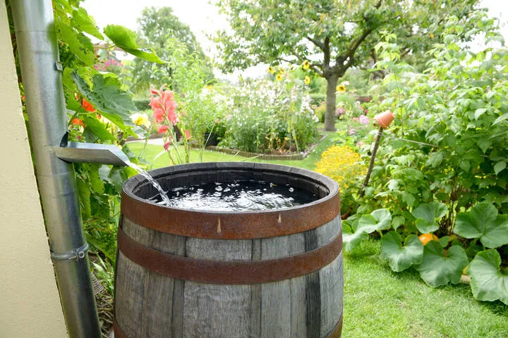 harvest rainwater to see you through drought