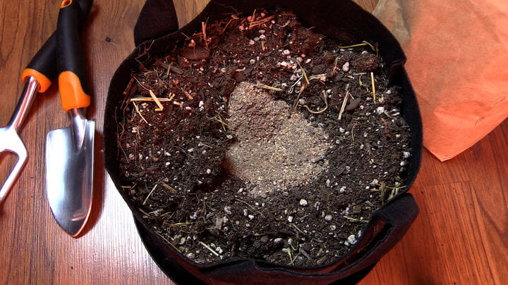 ingredients found in good cannabis soil