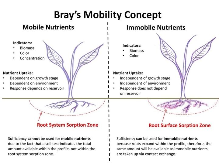 Bray's Mobility Chart