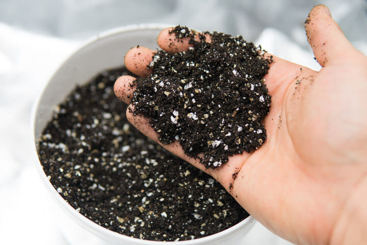 soil amendments help your soil hold water