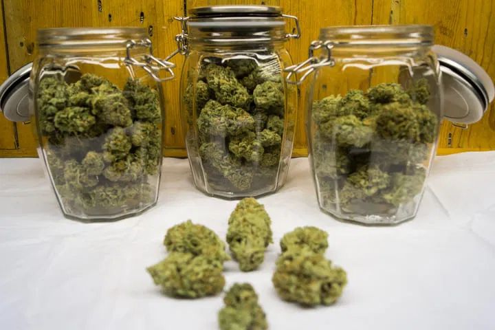 store in dark jars to preserve limonene terpenes
