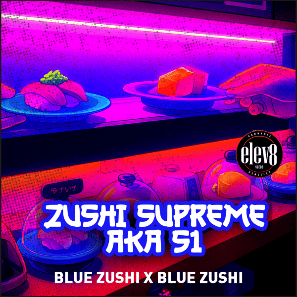 Zushi Supreme (Blue Zushi S1) Feminized