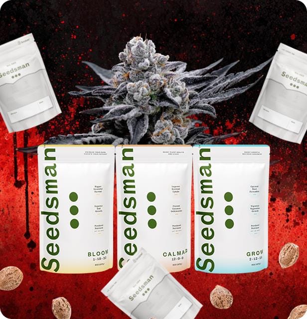 Seedsman Halloween Grow Kit