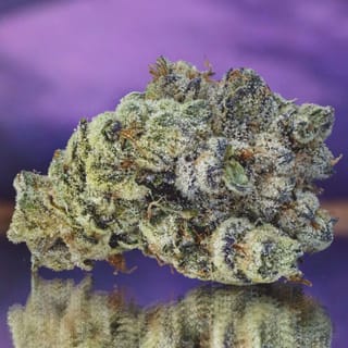 Grease Monkey Clones