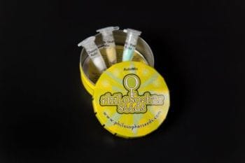 Mix Auto Feminised Seeds - 6-PHIL-AUTOM-FEM