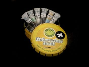 Mix Plus Auto Feminised Seeds - 12-PHIL-AUTOM-PLUS-FEM-12