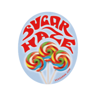 Sugar Haze Regular Seeds-SMAN-SUHZ-REG