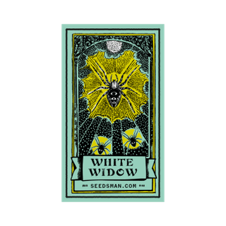 White Widow Regular Seeds-SMAN-WHWI-REG