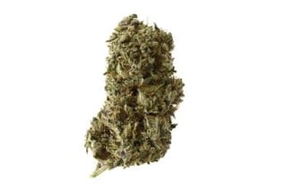 Kosher Tangie Kush Feminised Seeds-AMG-KOTANKU-Fem
