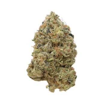 Tangerine G13 Feminised Seeds-AMG-TANG13-Fem