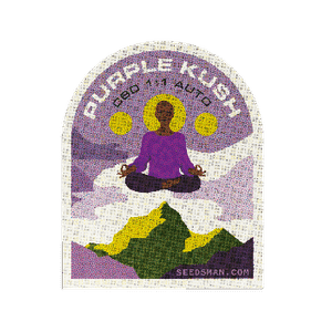 Purple Kush CBD 1:1 Auto Feminised Seeds-SMAN-PURPKU-CBD-AUTO-FEM