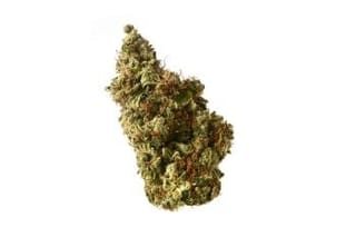 Milkshake Kush Auto Feminised Seeds-AMG-MILK-AUTO-FEM