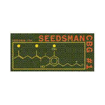 семенаman CBG #1 феминизирани семена-SMAN-CBG1-FEM