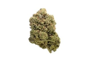Chunky Cookies Feminised Seeds-AMG-CHUNKYC-FEM