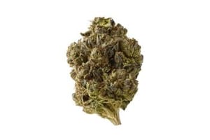 Double Blue Feminised Seeds-AMG-DBLU-FEM