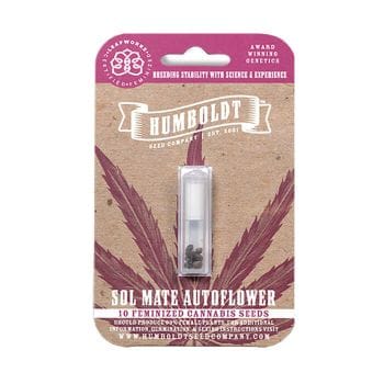 Sol Mate Auto Feminised Seeds-HUMB-SMA-F