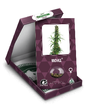 Michka Feminised Seeds-SEN-MICH-FEM