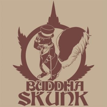 Buddha Classics Skunk Feminised Seeds-BS-BSBSKF