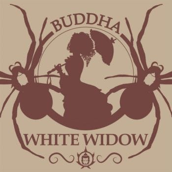 Buddha Classics White Widow Feminised Seeds-BS-BSBWWF