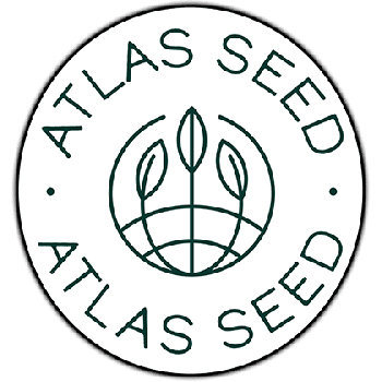 GMO Fast Feminised Seeds-ATL-GMO-FAST-FEM