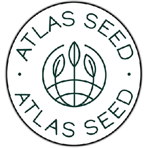 GMO Fast Feminised Seeds-ATL-GMO-FAST-FEM