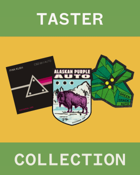 Taster Collection Auto Feminisiert Saatgut-SMAN-COL-TAS-AUTO