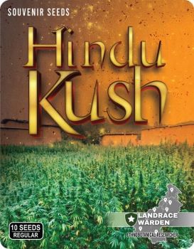 Hindu Kush Regular Seeds-LRW-HK-REG