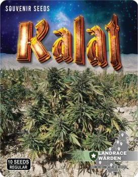 Kalat Regular Seeds-LRW-KAL-REG