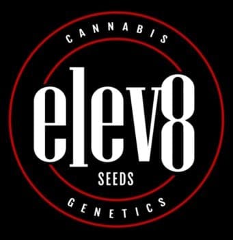 Nerds Rope S1 Feminized Seeds-LV8-NRS1-FEM