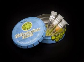 Indoor Mix Feminised Seeds-PHIL-INDMIX-FEM