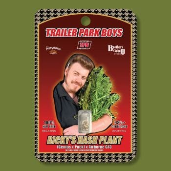 Ricky's Hash Plant Feminised Seeds (Trailer Park Boys Collab)-TPB-RHP-FEM