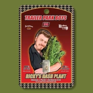 Ricky's Hash Plant Feminized Seeds (Trailer Park Boys Collab)-TPB-RHP-FEM