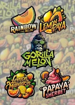 Mix Pack Feminised Seeds-FB-MIX-FEM