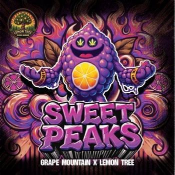 Sweet Peaks Feminized Seeds-LV8-GRMO-FEM