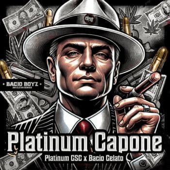Platinum Capone Feminised Seeds-LV8-PLCA-FEM