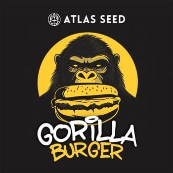 Gorilla Burger Feminized Seeds-ATL-GOBU-FEM