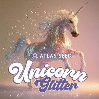 Unicorn Glitter Feminized Seeds-ATL-UNGL-FEM