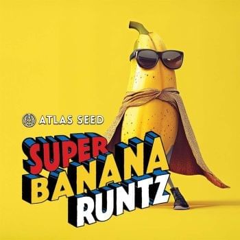 Super Banana Runtz Feminized Seeds-ATL-SUBR-FEM