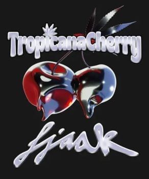 Tropicana Cherry феминизирани семена-BFS-TRCH-FEM