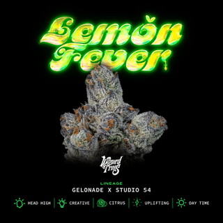 Lemon Fever Feminised Seeds-WIZT-LEFE-FEM