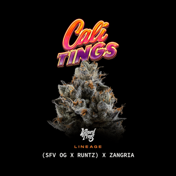Cali Tings Feminised Seeds-WIZT-CATI-FEM