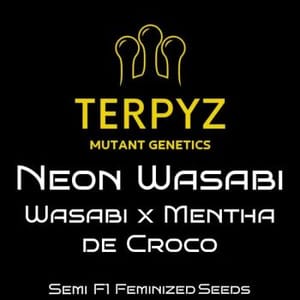 Neon Wasabi Feminised Seeds-TERP-NEWA-FEM