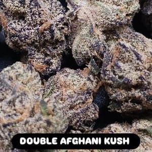 Double Afghani Kush Feminized Seeds-IHG-DOAK-FEM