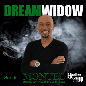 Montel's Dream Widow Feminised Seeds-BGS-DRWI-FEM